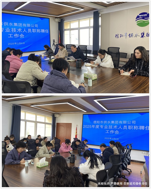 2025年度專業(yè)技術人員職稱聘任工作會